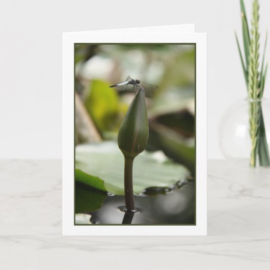 Dragonfly-Karte Karte (Vorderseite)