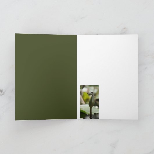 Dragonfly-Karte Karte (Innenseite)