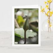 Dragonfly-Karte Karte (Gelbe Blume)