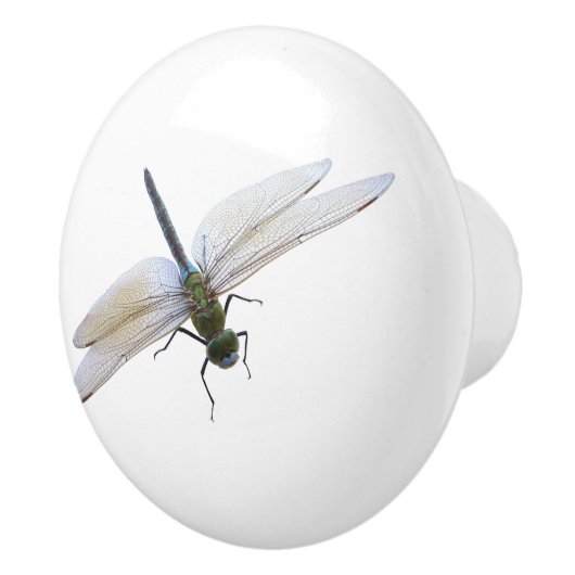 Dragonfly Keramikknauf (Rechts)