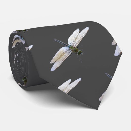 Dragonfly Krawatte (Gerollt)