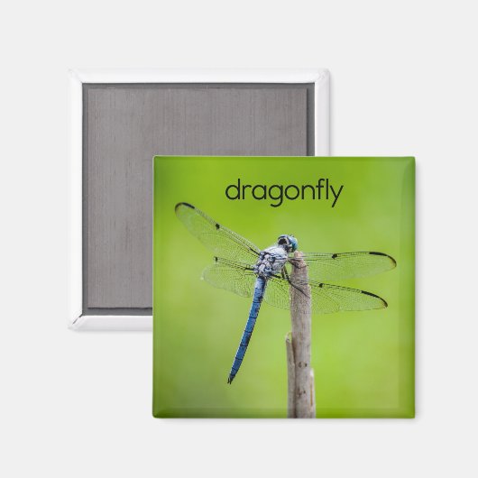 Dragonfly Kühlschrank Magnet (Vorderseite/Rückseite)