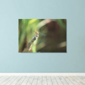 Dragonfly Leinwanddruck (Insitu (Holzboden))
