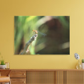Dragonfly Leinwanddruck (Insitu (Wohnzimmer))