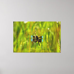 Dragonfly Leinwanddruck