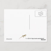 Dragonfly-Liebe Postkarte (Rückseite)