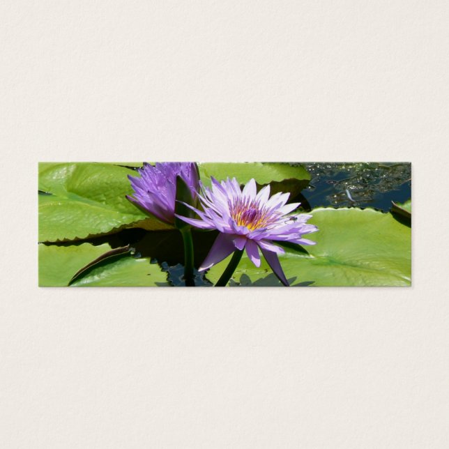 Dragonfly Lotus (Vorderseite)