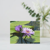 Dragonfly Lotus Postkarte (Stehend Vorderseite)