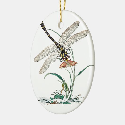 Dragonfly Magic Keramikornament (Links)