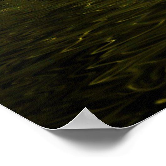 Dragonfly Magic Poster (Ecke)