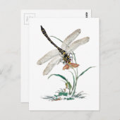 Dragonfly Magic Postkarte (Vorne/Hinten)
