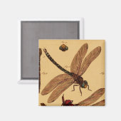 Dragonfly Magnet (Vorderseite/Rückseite)