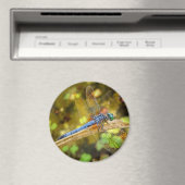 Dragonfly Magnet (In Situ (Geschirrspüler))