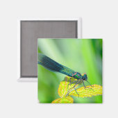 Dragonfly Magnet (Vorderseite/Rückseite)