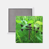 Dragonfly Magnet (Vorderseite/Rückseite)
