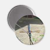 Dragonfly Magnet (Vorderseite/Rückseite)