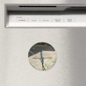 Dragonfly Magnet (In Situ (Geschirrspüler))