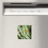 DragonFly Magnet (In Situ (Geschirrspüler))