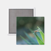Dragonfly Magnet (Vorderseite/Rückseite)