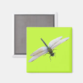 Dragonfly Magnet (Vorderseite/Rückseite)