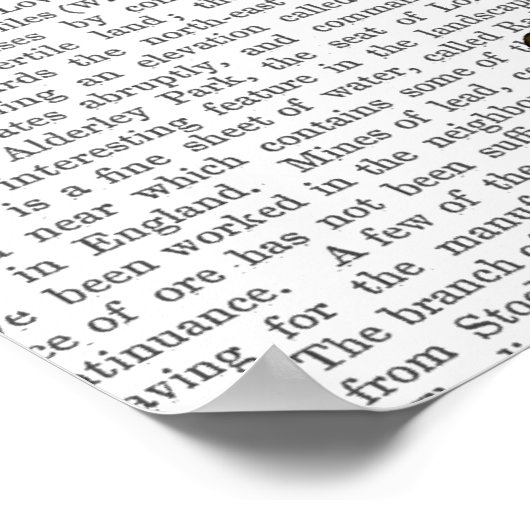 Dragonfly Mannequin Poster (Ecke)