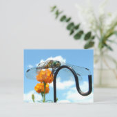 Dragonfly Marigold Sky Foto Postkarte (Stehend Vorderseite)