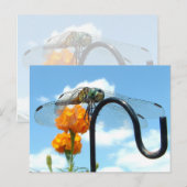 Dragonfly Marigold Sky Foto Postkarte (Vorne/Hinten)