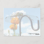 Dragonfly Marigold Sky Foto Postkarte (Rückseite)