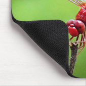 Dragonfly Maus Pad Grün und Rot Mousepad (Ecke)