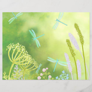 Dragonfly Meadow