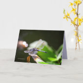 Dragonfly mit Buche Karte (Gelbe Blume)
