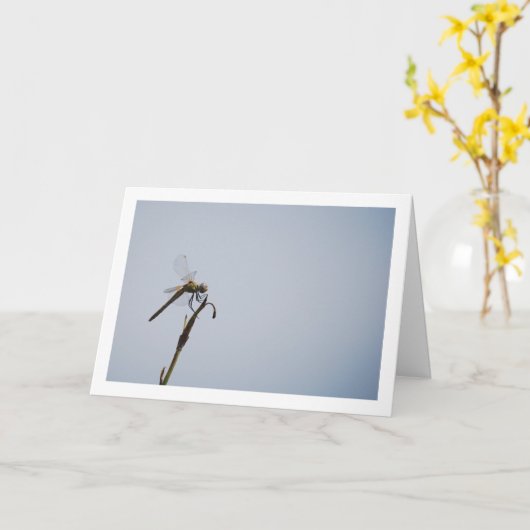Dragonfly mit Cane Stick Karte (Gelbe Blume)