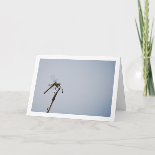 Dragonfly mit Cane Stick Karte (Vorderseite)