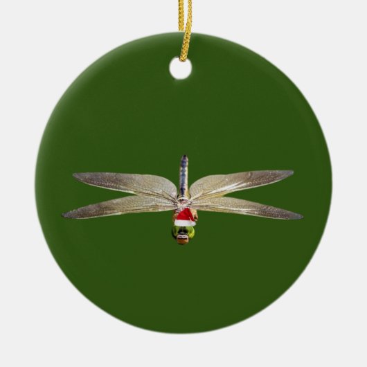 Dragonfly mit Hat Lights Weihnachten Keramik Ornament (Vorne)