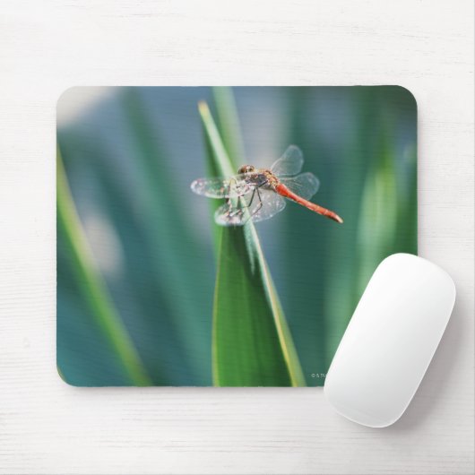Dragonfly Mousepad (Mit Mouse)