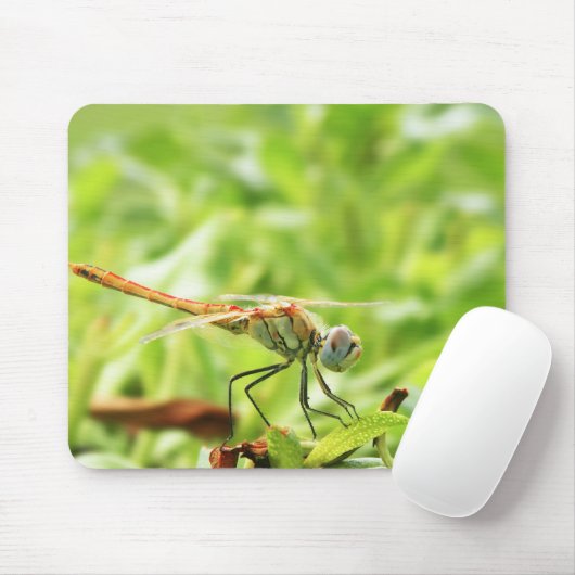 Dragonfly Mousepad (Mit Mouse)