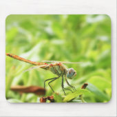Dragonfly Mousepad (Vorne)