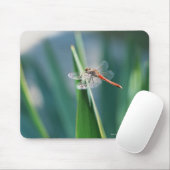 Dragonfly Mousepad (Mit Mouse)