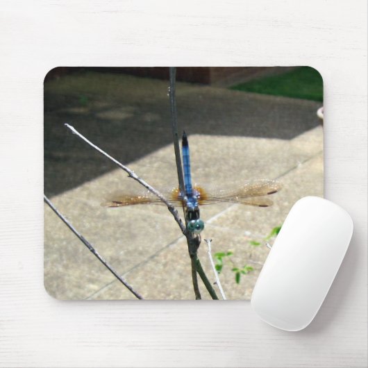 Dragonfly Mousepad (Mit Mouse)