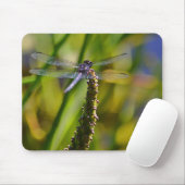 Dragonfly Mousepad (Mit Mouse)