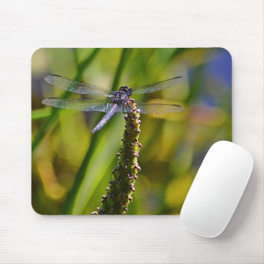 Dragonfly Mousepad (Mit Mouse)