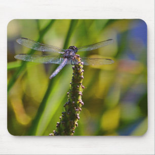 Dragonfly Mousepad