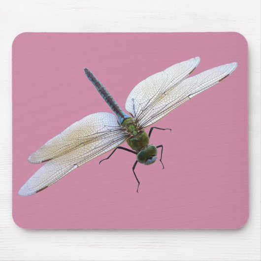 Dragonfly Mousepad (Vorne)