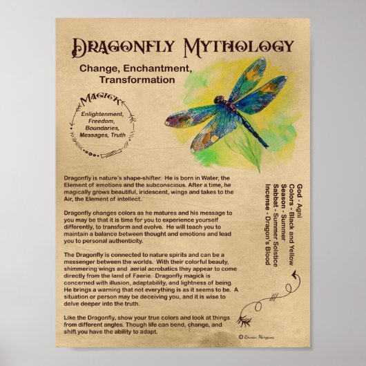 DRAGONFLY MYTHOLOGY POSTER (Vorne)