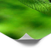 Dragonfly Nahe Natur Poster (Ecke)