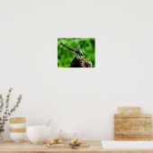 Dragonfly Nahe Natur Poster (Küche)