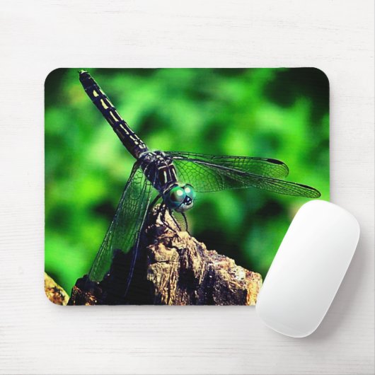 Dragonfly-Natur Mousepad (Mit Mouse)