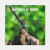 Dragonfly Nature Personalized Magnet (Vorne)