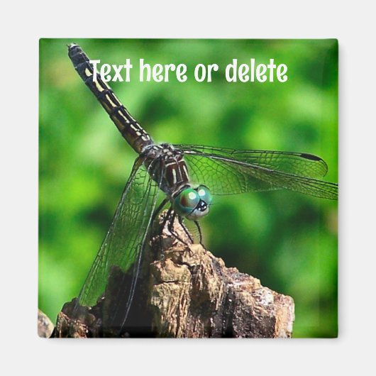 Dragonfly Nature Personalized Magnet (Vorne)