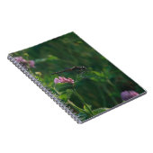 Dragonfly-Notebook Notizblock (Rechte Seite)